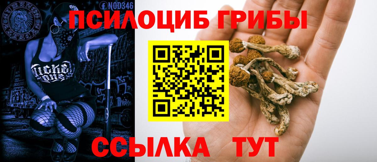 Котельники  Псилоцибиновые грибы Cubensis  Вход с VPN  Галлюциногенные грибы MAGIC MUSHROOMS 