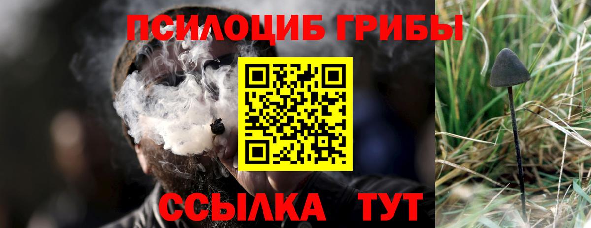 Псилоцибиновые грибы прущие грибы Котельники